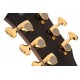 Guitare électro CORT THE BLACK TREE LIGHT BURST