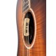 Guitare électro CORT THE BLACK TREE LIGHT BURST