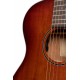 Guitare électro Cort Core OC Blackwood Light Burst
