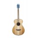 Guitare folk Breedlove Discovery S Concertina