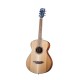 Guitare folk Breedlove Discovery S Concertina