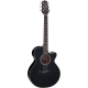 Guitare électro Takamine GF15 CE black