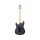 Guitare électrique Framus D-Series Diablo Pro Nirvana Black Satin