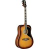 Guitare Folk Eko Ranger VR VI Honey Burst