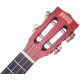 Ukulele Mahalo concert Island Berry Crush