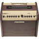 Ampli acoustique Fishman Loudbox mini PRO-LBT-500