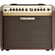Ampli acoustique Fishman Loudbox mini PRO-LBT-500