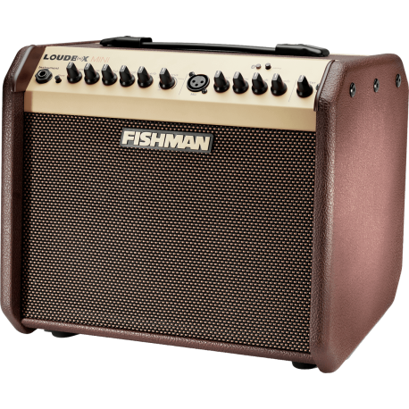 Ampli acoustique Fishman Loudbox mini PRO-LBT-500