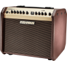 Ampli acoustique Fishman Loudbox mini PRO-LBT-500