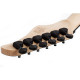 Guitare Schecter C-6 Pro Floyd - Aurora Burst