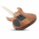Guitare Schecter C-6 Pro Floyd - Aurora Burst