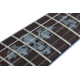 Guitare Schecter Synyster Gates Standard Floyd - Black