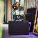 Baffle guitare Palmer 2x12 BX Vintage 30 8/16 ohms