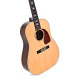 Guitare électro Sigma édition spéciale SJM-SG45