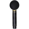 Micro large bande Audix SCX25A
