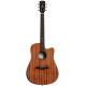 Guitare électro Alvarez Artist ADM66 CEAR Mahogany