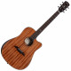 Guitare électro Alvarez Artist ADM66 CEAR Mahogany