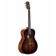 Guitare électro Alvarez Masterworks MFA66SHB Mahogany Gloss