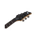 Guitare SGR by Schecter Banshee Metallic Red