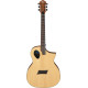 Guitare électro Michael Kelly FORTE port Naturelle