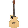 Guitare électro Michael Kelly FORTE port Naturelle