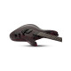 Guitare Schecter C-1 Silver Mountain - Blood Moon