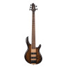 Basse électrique Cort Artisan C5 Plus  Antique Brown burst