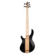 Basse électrique Cort Artisan C5 Plus  Antique Brown burst