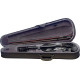 Violon 4/4 Stagg érable massif noir