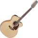 Guitare Takamine 12 cordes GJ72CE jumbo