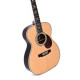 Guitare folk Sigma All Solid Somr 45 en étui