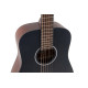 Guitare Applause Wood Classic AAT96-4S noire matte