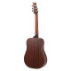 Guitare Applause Wood Classic AAT96-4S noire matte