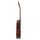 Guitare Applause Wood Classic AAT96-4S noire matte