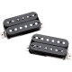 Micros Seymour Duncan Slash noirs