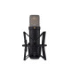 Micro Rode NT1 5th generation