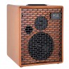 Ampli acoustique Acus One for string 6T wood