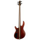 Basse Cort Artisan A4 Ultra Frene Fishman