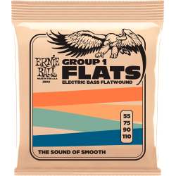 Cordes basse Ernie Ball Flats group 1 55-110