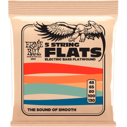 Cordes basse Ernie Ball Flats 5 cordes 45-130