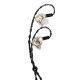 Ecouteurs In Ear Stagg SPM-PRO