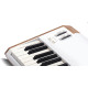 Clavier Analogique Arturia Astrolab 61 WH
