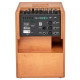 Ampli acoustique Acus One for string 8 Ferdi wood
