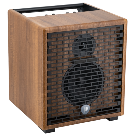 Ampli acoustique Prodipe Natural 5 Walnut Wood