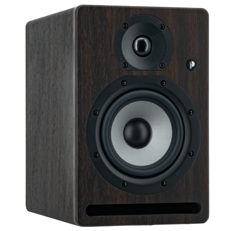 Enceinte de monitoring Prodipe PRO5 V4 Rosewood