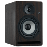 Enceinte de monitoring Prodipe PRO5 V4 Rosewood