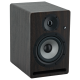 Enceinte de monitoring Prodipe PRO5 V4 Rosewood