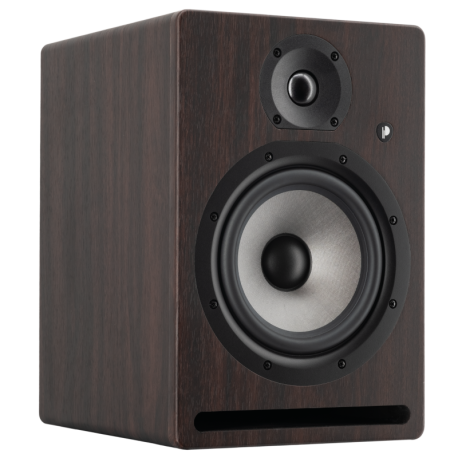 Enceinte de monitoring Prodipe PRO7 V4 Rosewood