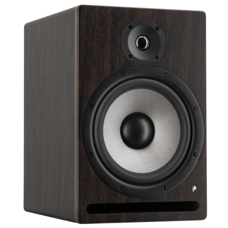 Enceinte de monitoring Prodipe PRO8 V4 Rosewood