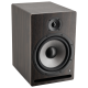 Enceinte de monitoring Prodipe PRO8 V4 Rosewood